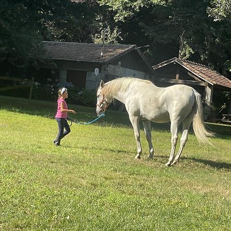 Villa Quinta De Maderne Felgueiras Esterno foto