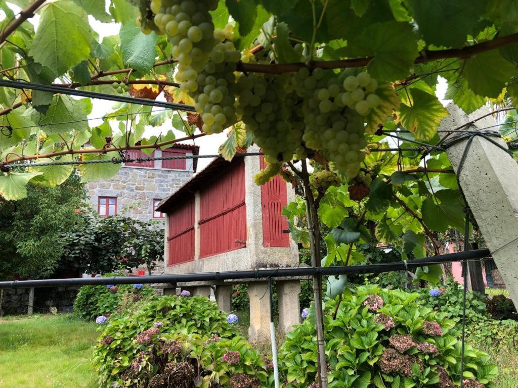 Villa Quinta De Maderne Felgueiras Esterno foto
