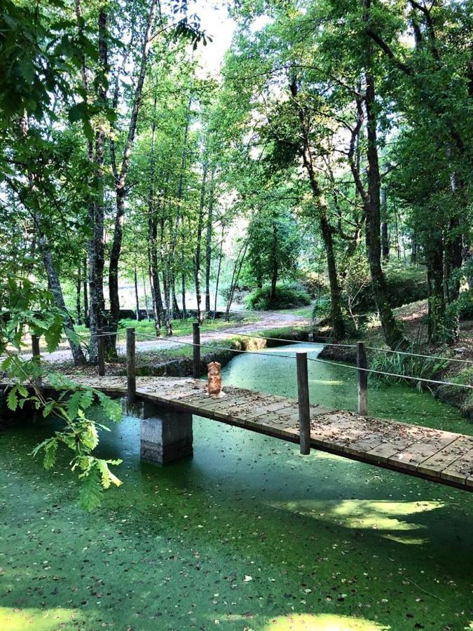 Villa Quinta De Maderne Felgueiras Esterno foto