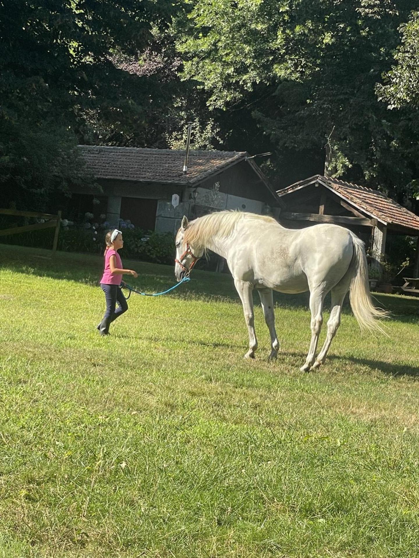 Villa Quinta De Maderne Felgueiras Esterno foto