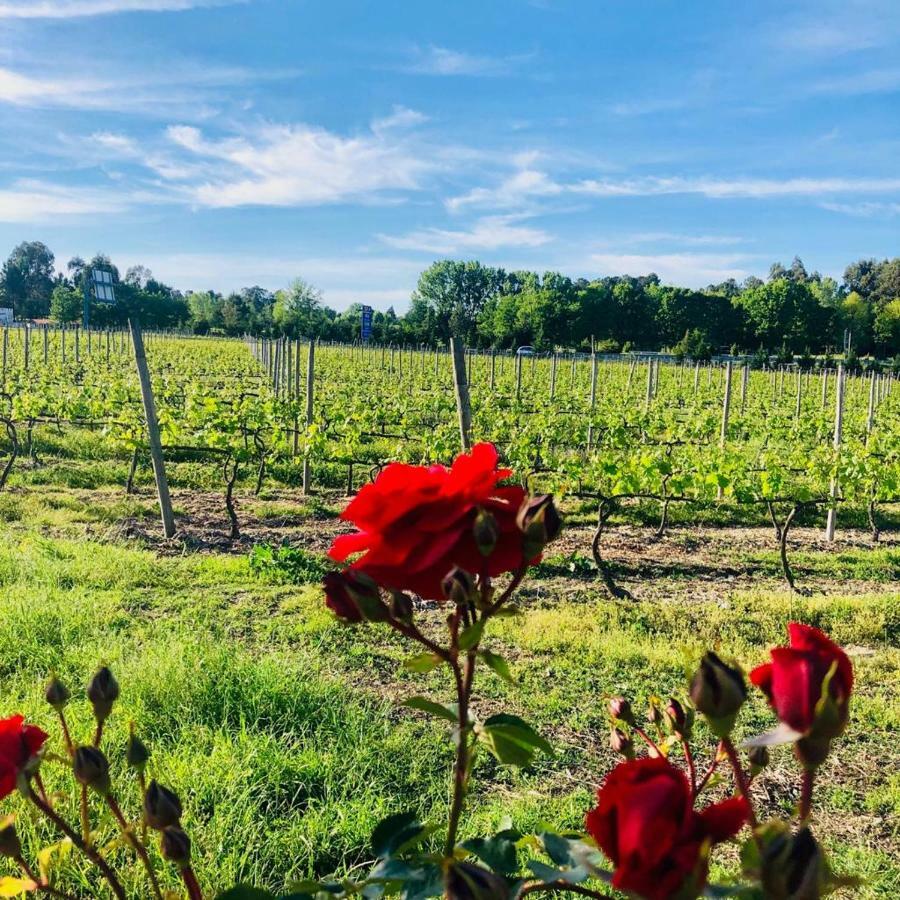 Villa Quinta De Maderne Felgueiras Esterno foto
